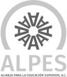 Logo gris con fondo transparente de ALPES